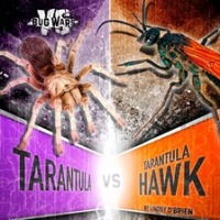 Tarantula vs. tarantula hawk